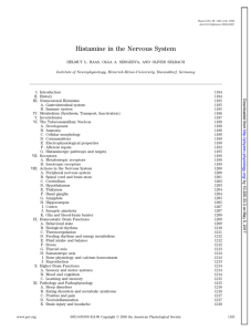 Histamine in the Nervous System