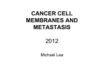 CANCER CELL CANCER CELL MEMBRANES AND METASTASIS