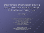 Determinants of Conduction Slowing During Ventricular