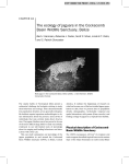 REPORT: Ecology of Jaguars in the Cockscomb Basin Wildlife
