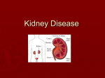 PowerPoint Presentation - Chronic Kidney Disease