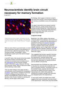 Neuroscientists identify brain circuit necessary for memory formation