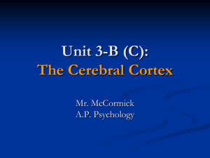 A.P. Psychology 3-B (C)