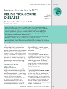 feline tick-borne diseases - All Pet Care Animal Hospital