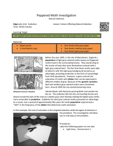 Peppered Moth Investigation