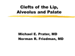 Cleft Lip, Alveolus and Palate