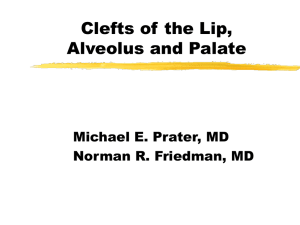 Cleft Lip, Alveolus and Palate