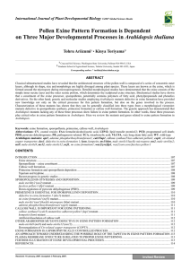 Pollen Exine Pattern Formation is Dependent on Three Major