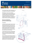 Mesothelioma - Cancer Society NZ