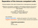 cell - immunology.unideb.hu
