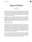 Types of Tissues
