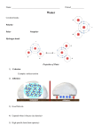 Macromolecules College Notes