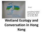 Wetland Ecology and conversation in Hong Kong