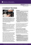 Livestock Vaccines