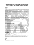 transitional cell carcinoma of the urinary tract