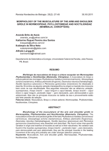 morphology of the musculature of the arm and shoulder girdle in