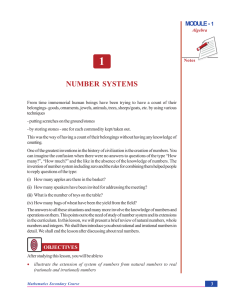 Chapter 1. Number Systems