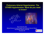 Pulmonary Arterial Hypertension: The OTHER Hypertension: What