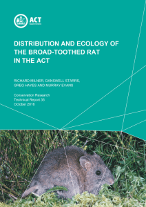 distribution and ecology of the broad