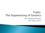 Traits: The Puppeteering of Genetics