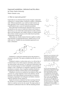 Isoprenoid metabolism: cholesterol and the others