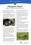 Macquarie Island - Rabbit Impact and Management Fact Sheet