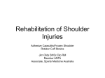 Rehabilitation of Shoulder Injuries Presentation