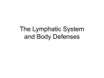 Ch 12 - Lymphatic System
