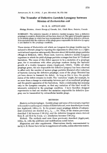 The Transfer of Defective Lambda Lysogeny between