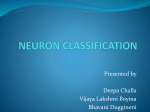 NEURON CLASSIFICATION