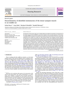 Neurochemistry of identified motoneurons of the tensor tympani