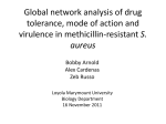 Global network analysis of drug tolerance, mode of