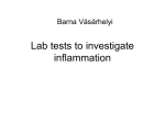 Lab tests to investigate inflammation