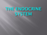 The Endocrine System - Life Science Academy
