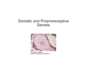 Introduction: Biology Today Chapter 1