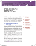 epigenetic control of cellular differentiation