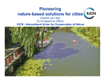Pioneering nature-based solutions for cities
