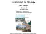 Essentials of Biology Sylvia S. Mader