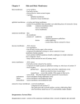 Physiology Ch 4