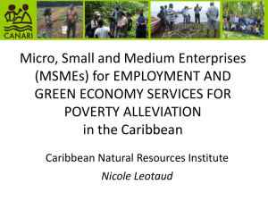 Micro, Small and Medium Enterprises