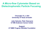 Separation of Carbon Nanotube by Dielectrophoresis