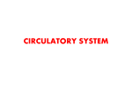 circulatory system - ies emperador carlos