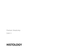5 Anat 35 Histology