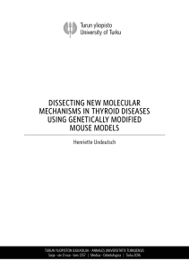 Henriette Undeutsch – Dissecting New Molecular