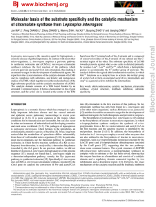 Biochemical Journal