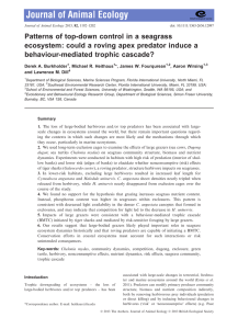 Journal of Animal Ecology 82(6) - Seagrass Ecosystems Research