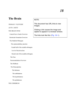 View: Chapter Text (PDF with new