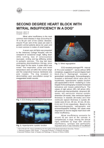 second degree heart block with mitral insufficiency in a dog
