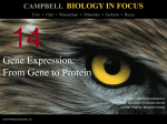 campbell biology in focus