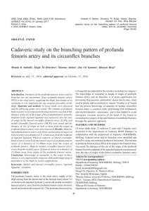 Cadaveric study on the branching pattern of profunda femoris artery